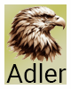 Krafttier-Adler