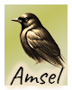 Krafttier-Amsel