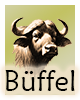Krafttier-Bueffel