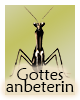 Krafttier-Gottesanbeterin