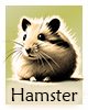 Krafttier-Hamster