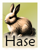 Krafttier-Hase