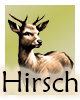 Krafttier-Hirsch