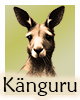 Krafttier-Kaenguru