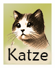 Krafttier-Katze