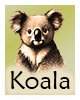 Krafttier-Koala
