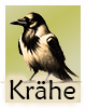 Krafttier-Kraehe