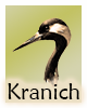 Krafttier-Kranich