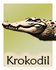 Krafttier-Krokodil