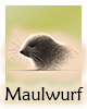 Krafttier-Maulwurf