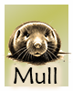 Krafttier-Mull