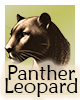 Krafttier-Panther-Leopard