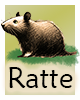 Krafttier-Ratte