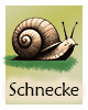 Krafttier-Schnecke