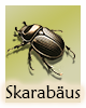 Krafttier-Skarabaeus