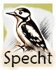 Krafttier-Specht