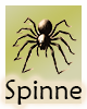 Krafttier-Spinne