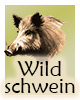 Krafttier-Wildschwein