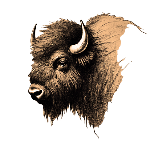 Freigestelltes Sepia-Bild eines Bisons im Profil mit majestätischer Haltung