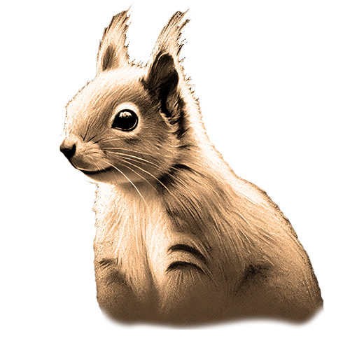 Freigestelltes Sepia-Bild eines Eichhörnchens im Profil mit lebhafter Haltung