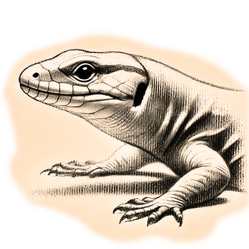 Krafttier Eidechse Freigestelltes Sepia-Bild einer Eidechse im Profil mit ruhiger und fokussierter Haltung