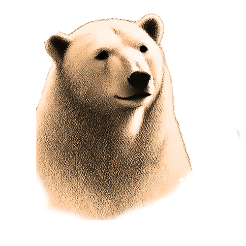 Krafttier Eisbär Freigestelltes Sepia-Bild eines Eisbären im Profil mit kraftvoller und ruhiger Ausstrahlung