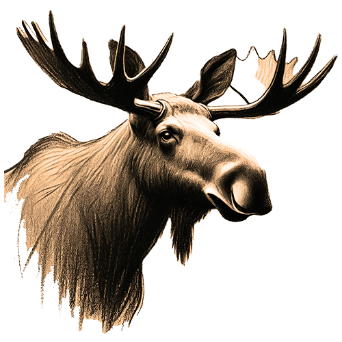 Freigestelltes Sepia-Bild eines Elchs im Profil mit majestätischer und ruhiger Haltung