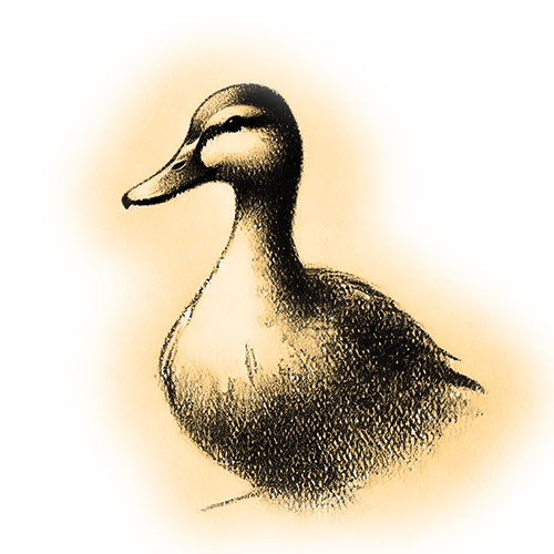 Freigestelltes Sepia-Bild einer Ente im Profil mit entspannter Haltung