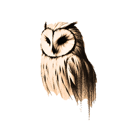 Krafttier Eule Freigestelltes Sepia-Bild einer Eule im Profil mit geheimnisvoller und weiser Ausstrahlung