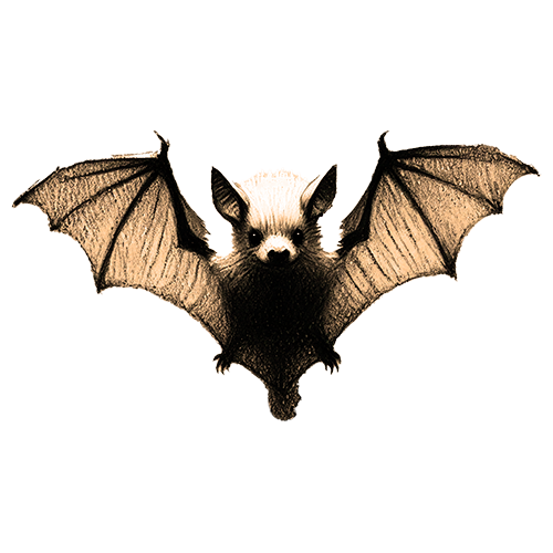 Freigestelltes Sepia-Bild einer Fledermaus im Profil mit geheimnisvoller und schützender Haltung