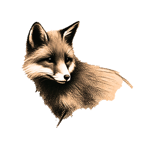 Krafttier Fuchs Freigestelltes Sepia-Bild eines Fuchses im Profil mit aufmerksamer und schlauer Haltung