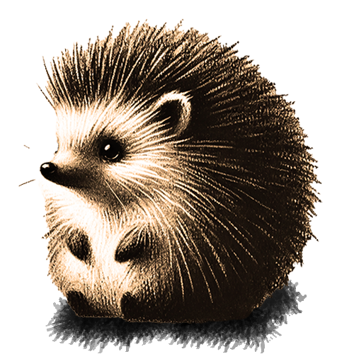 Krafttier Igel Freigestelltes Sepia-Bild eines Igels im Profil mit sanfter und schützender Haltung