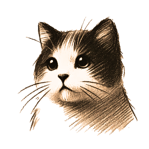 Freigestelltes Sepia-Bild einer Katze im Profil mit eleganter und geheimnisvoller Haltung