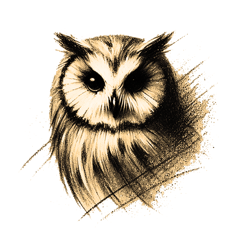 Freigestelltes Sepia-Bild eines Kauzes im Profil mit geheimnisvoller und weiser Haltung