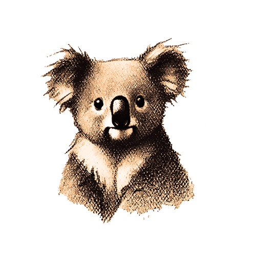 Freigestelltes Sepia-Bild eines Koalas im Profil mit ruhiger und gelassener Haltung