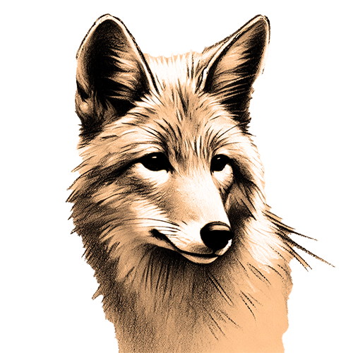 Krafttier Kojote Freigestelltes Sepia-Bild eines Kojoten im Profil mit schelmischer und flexibler Haltung