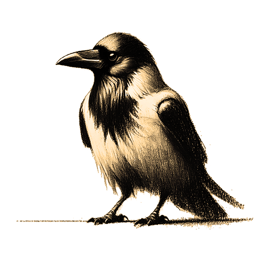 Freigestelltes Sepia-Bild einer Krähe im Profil mit mystischer und intelligenter Haltung