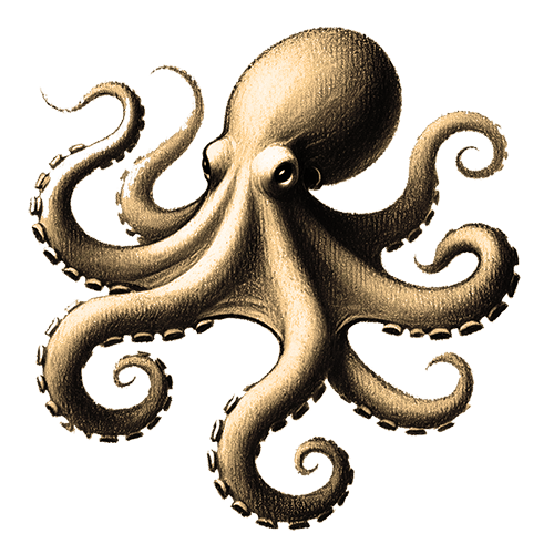 Krafttier Krake Freigestelltes Sepia-Bild eines Krake im Profil mit flexibler und kreativer Haltung