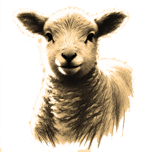 Freigestelltes Sepia-Bild eines Lamms im Profil mit sanfter und reiner Haltung