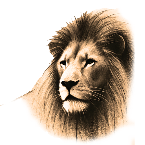 Krafttier Löwe Freigestelltes Sepia-Bild eines Löwen im Profil mit majestätischer und kraftvoller Haltung