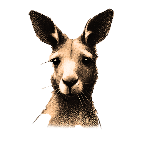 Freigestelltes Sepia-Bild eines Kängurus im Profil mit dynamischer und sprungbereiter Haltung