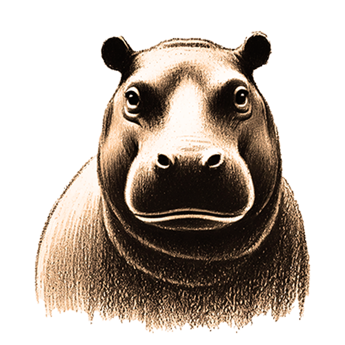 Freigestelltes Sepia-Bild eines Nilpferds im Profil mit ruhiger und kraftvoller Haltun