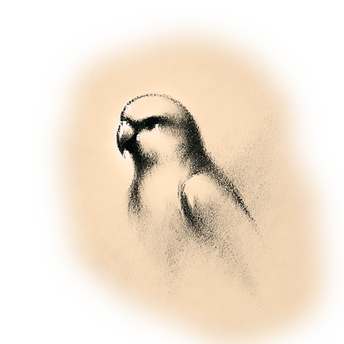 Freigestelltes Sepia-Bild eines Papageis im Profil mit lebendiger und ausdrucksstarker Haltung