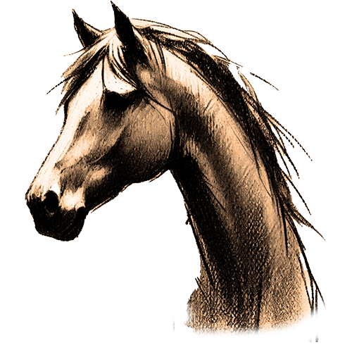 Freigestelltes Sepia-Bild eines Pferdes im Profil mit kraftvoller und eleganter Haltung