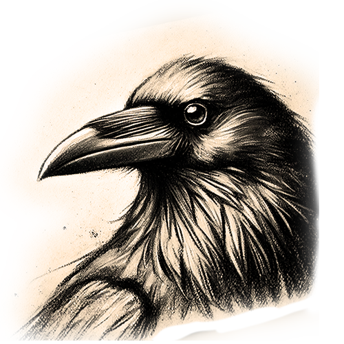 Freigestelltes Sepia-Bild eines Rabenvogels im Profil mit wachsamer und geheimnisvoller Haltung