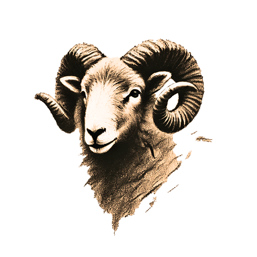 Freigestelltes Sepia-Bild eines Schaf-Widders im Profil mit sanfter und zugleich entschlossener Haltung