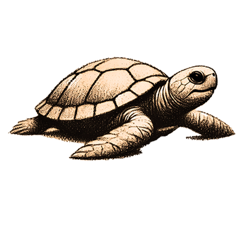 Freigestelltes Sepia-Bild einer Schildkröte im Profil mit ruhiger und entschlossener Haltung