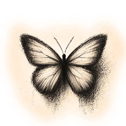 Freigestelltes Sepia-Bild eines Schmetterlings im Profil mit anmutiger und leichter Haltung