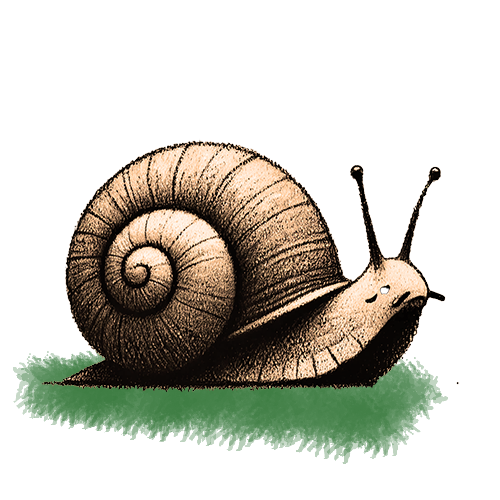 Freigestelltes Sepia-Bild einer Schnecke im Profil mit ruhiger und bedächtiger Haltung