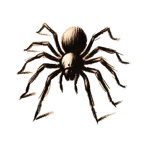 Freigestelltes Sepia-Bild einer Spinne im Profil mit geduldiger und fokussierter Haltung